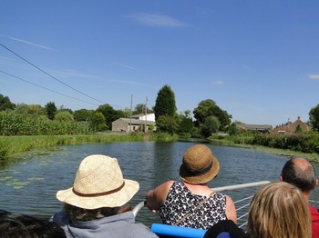 Découverte en bacôve des marais audomarois