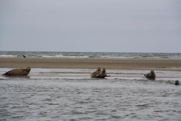 Photo n° 11 de la location