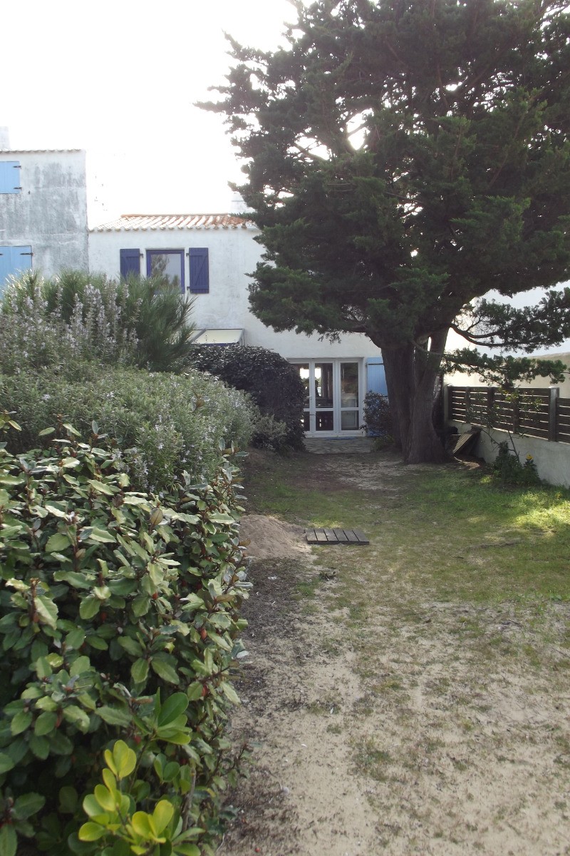 Jardinet arrière