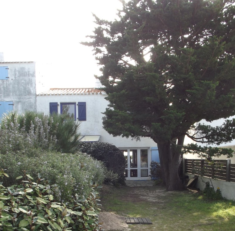 Jardinet arrière