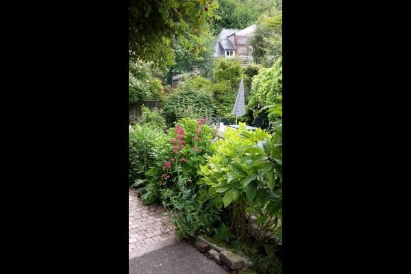 Jardin reposant et très fleuri