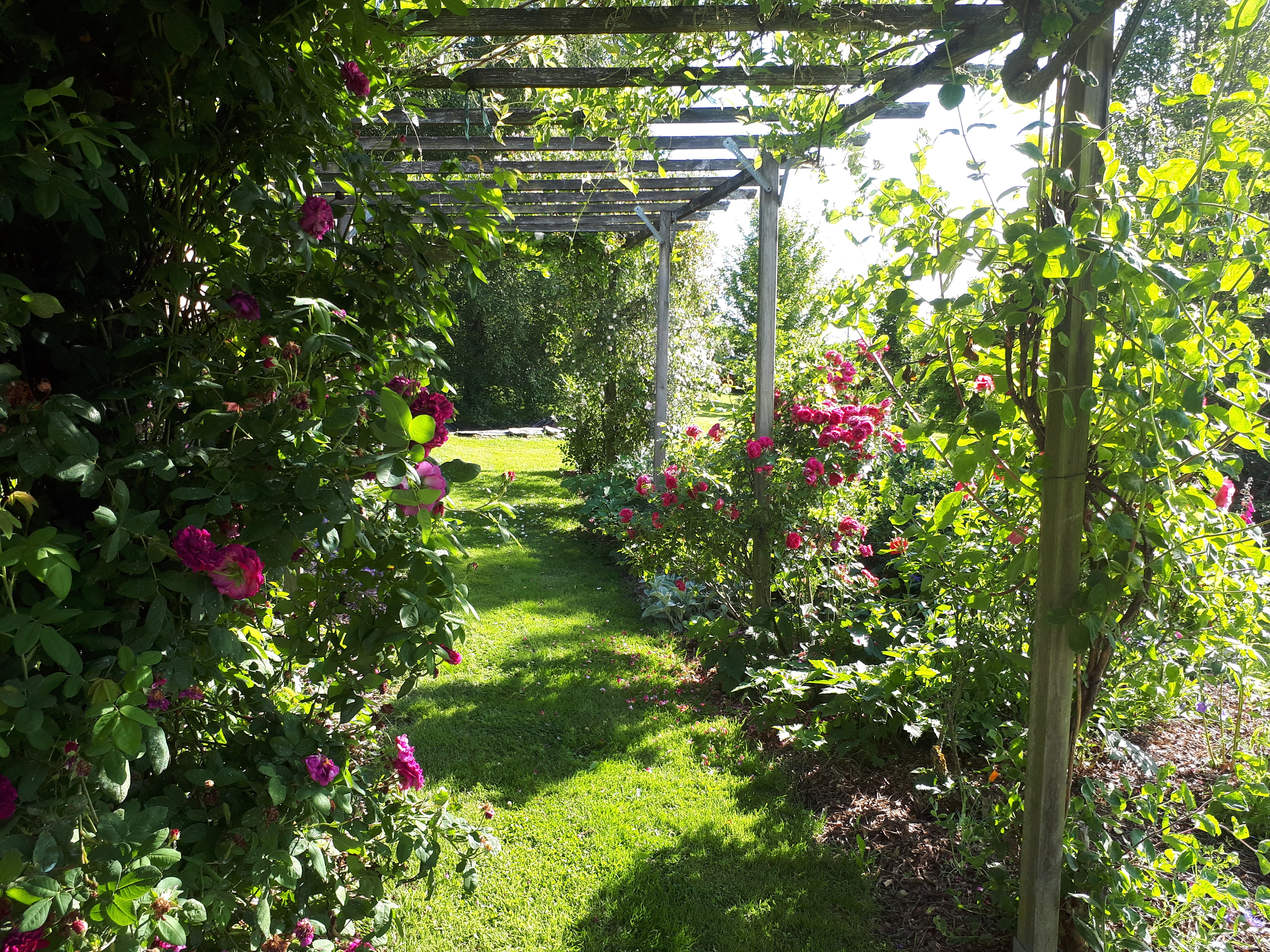 Photo n° 12 of the location