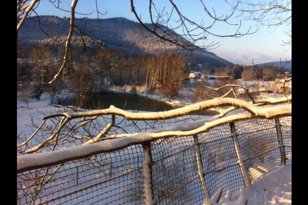 vue sur l'étang de la plateforme l'hiver