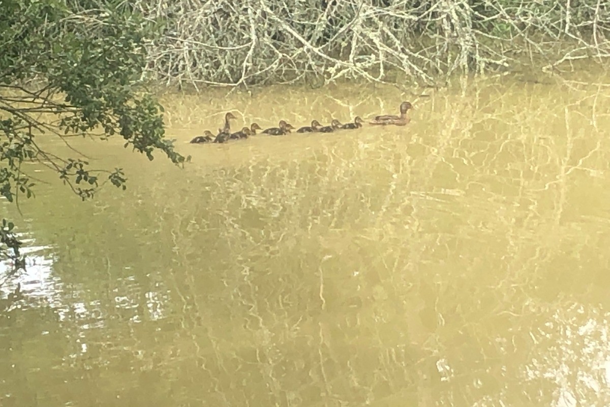 Photo n° 19 of the location