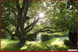 Image n° 2 de la location