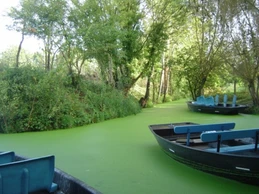 Image n° 3 de la location