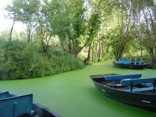 Photo n° 3 de la location