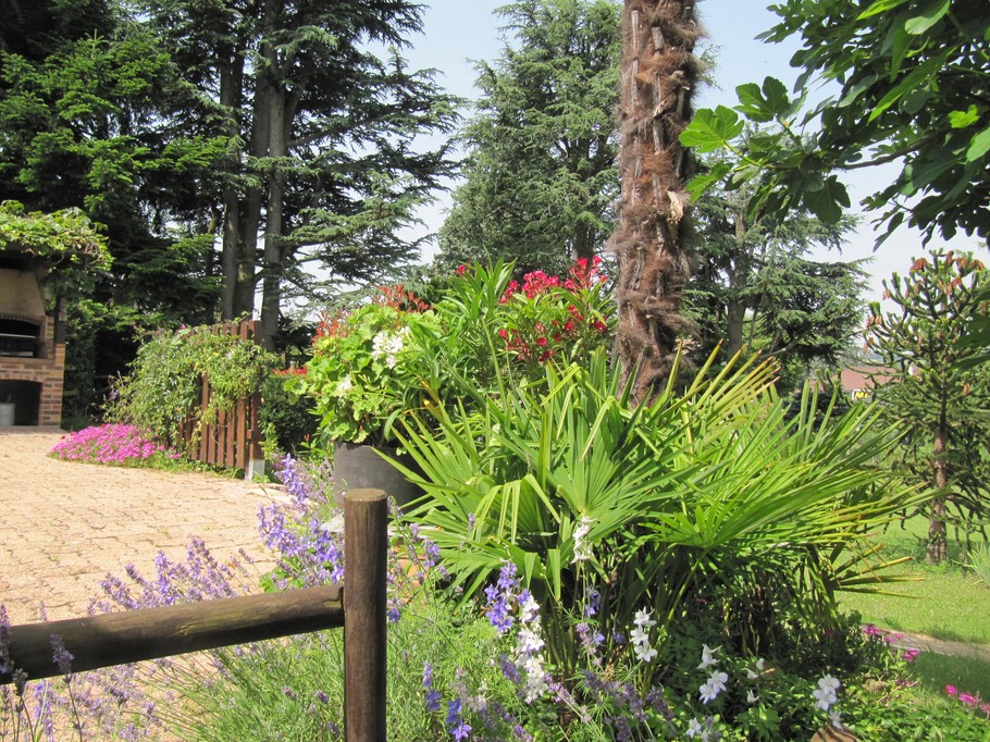 Photo n° 7 de la location