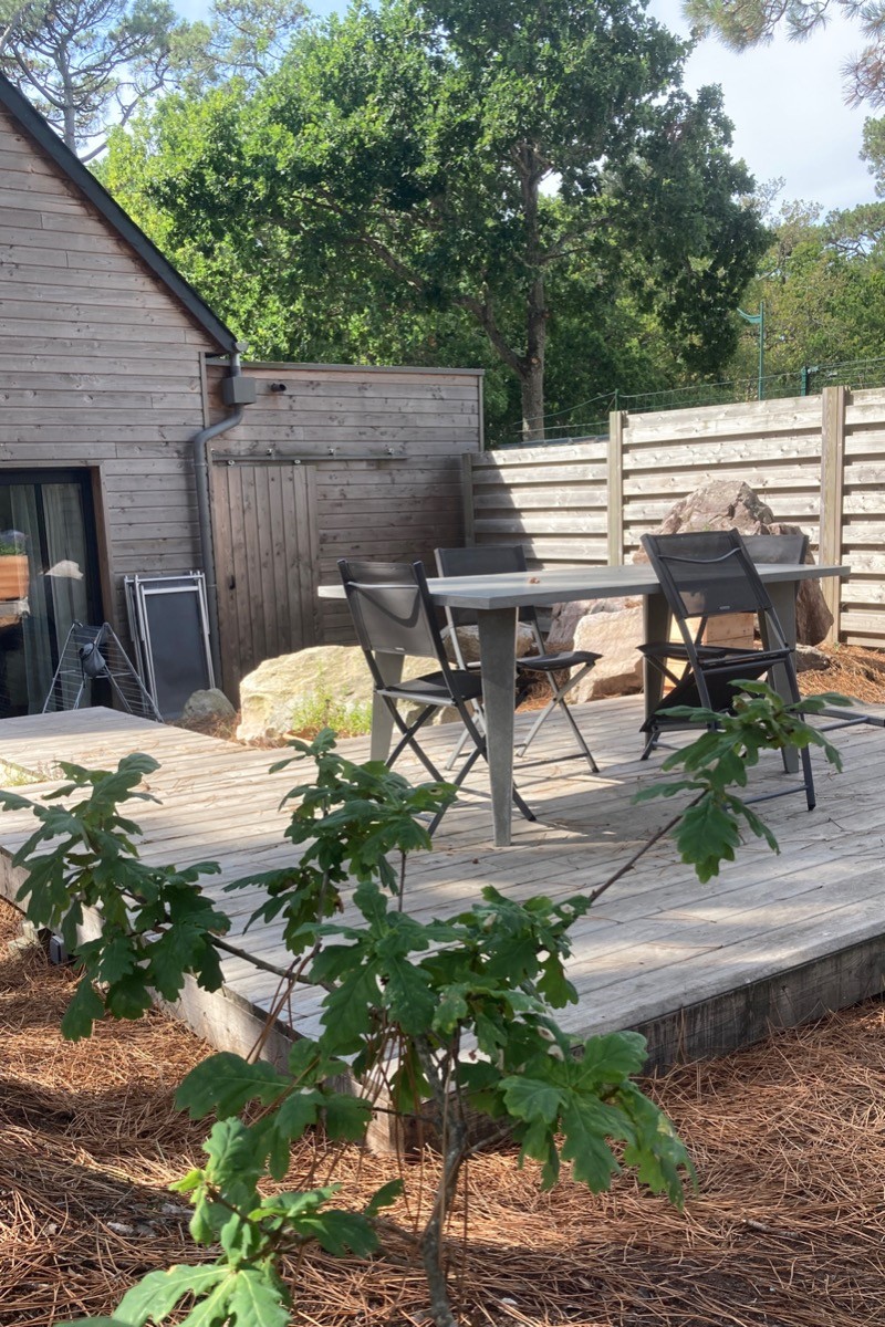 Terrasse au cœur de la pinède