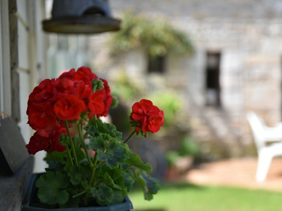 Photo n° 17 of the location