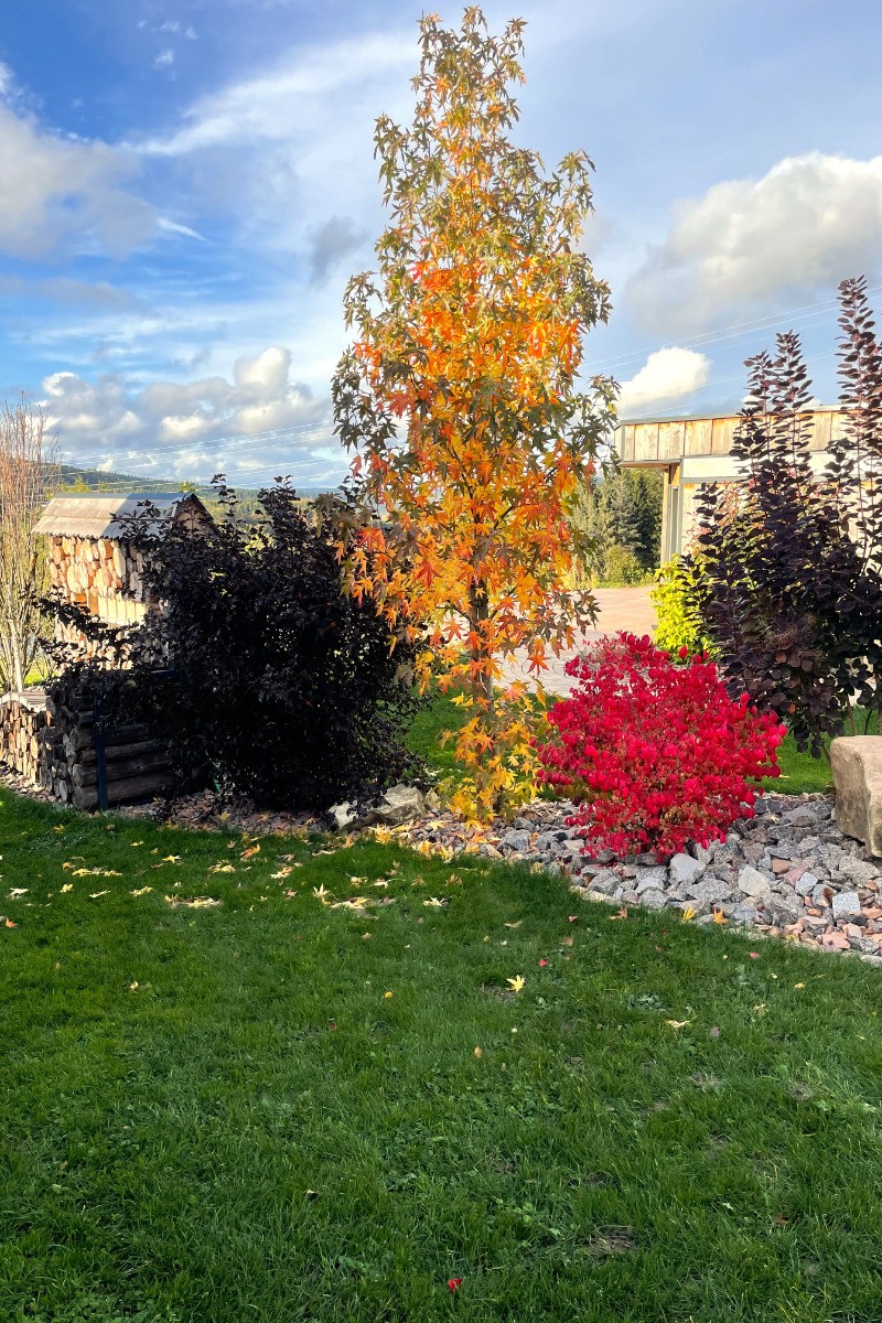 Nature cottage Vosges