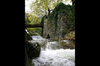 Photo n° 19 de la location