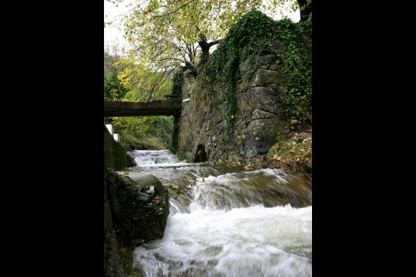 Photo n° 19 de la location