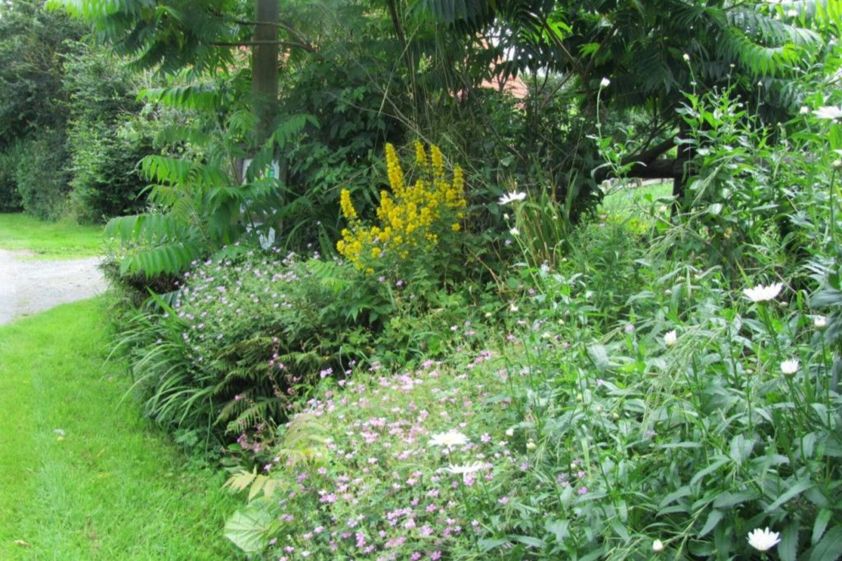 Photo n° 15 of the location