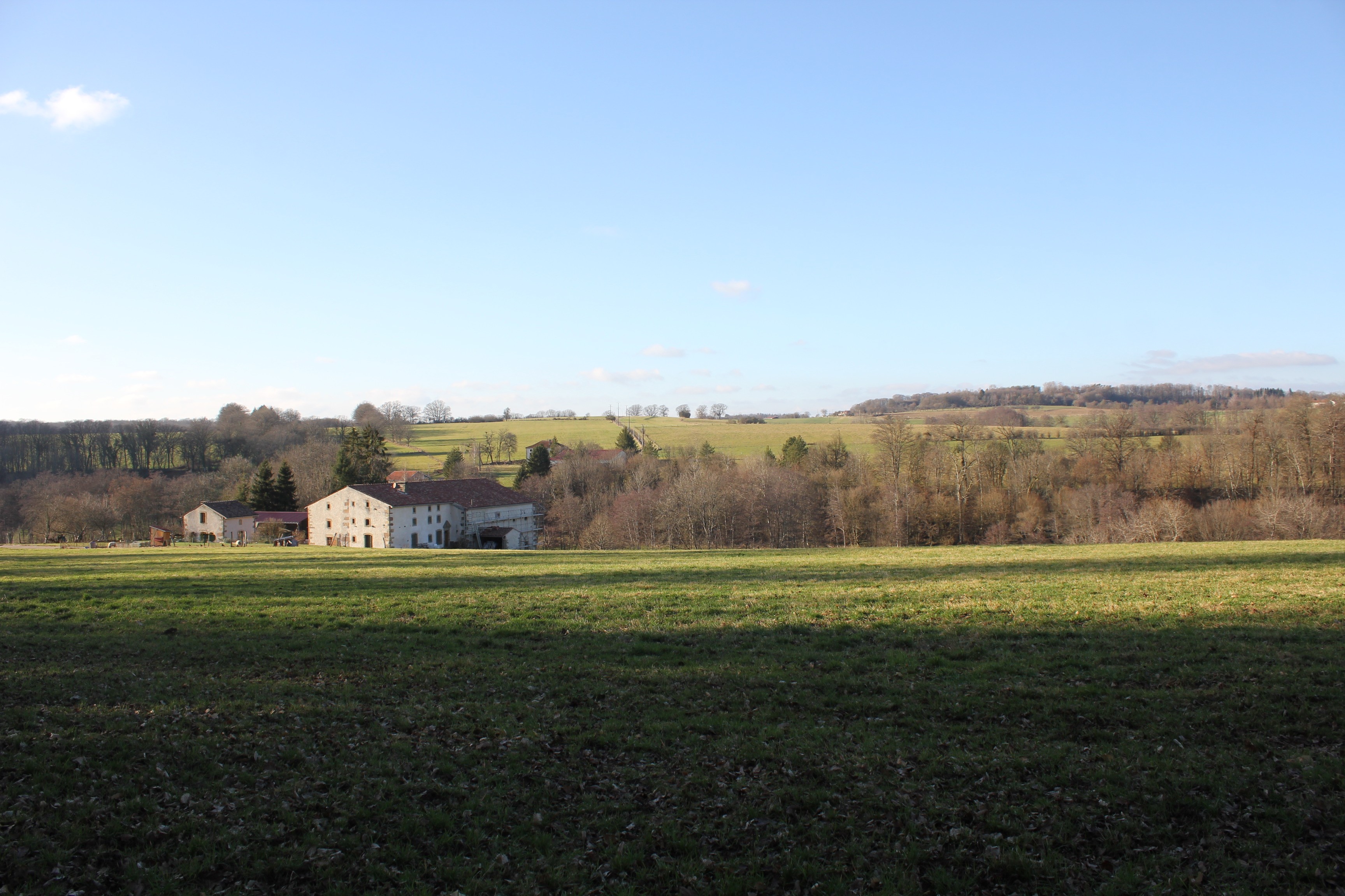 Domaine de la Cabiole view of the forest - Gite de la Cabiole