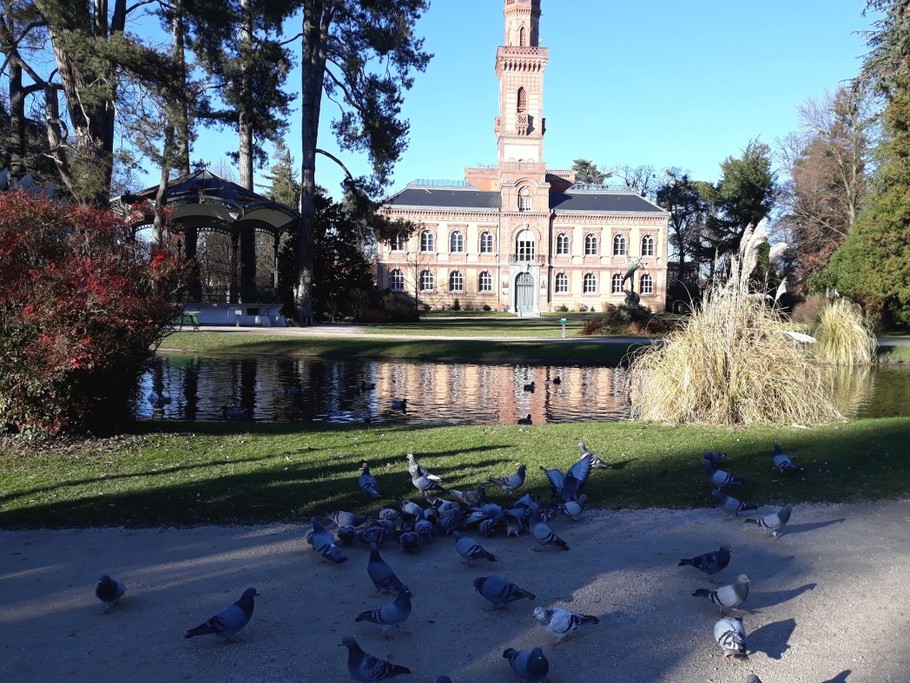 Photo n° 14 de la location