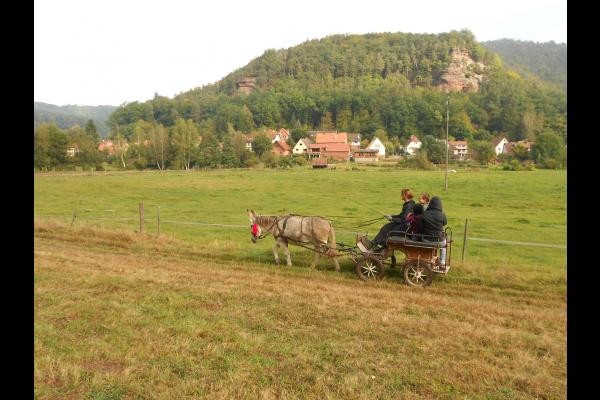 une vue sur le village