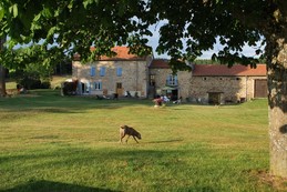 Image n° 2 de la location