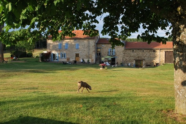 Photo n° 2 of the location