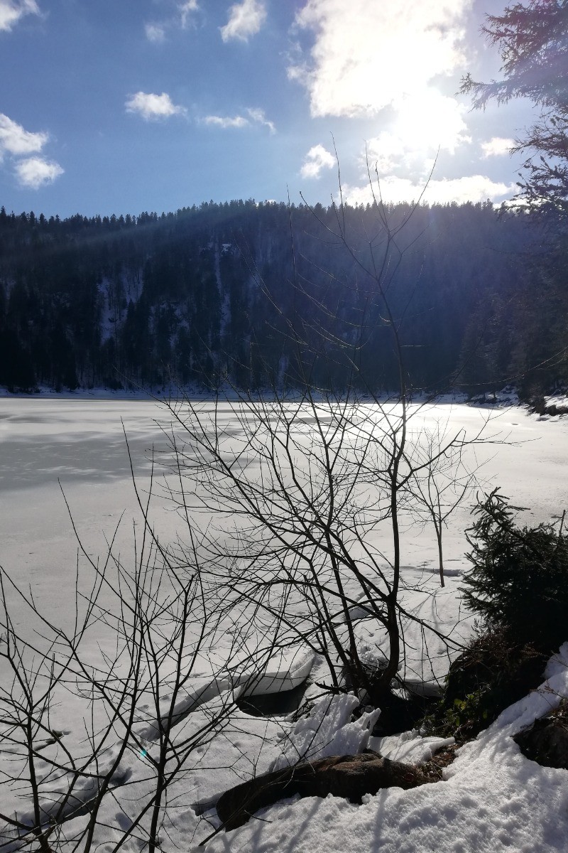 lac des corbeaux ( proche appart) - Appartement Le petit Darou