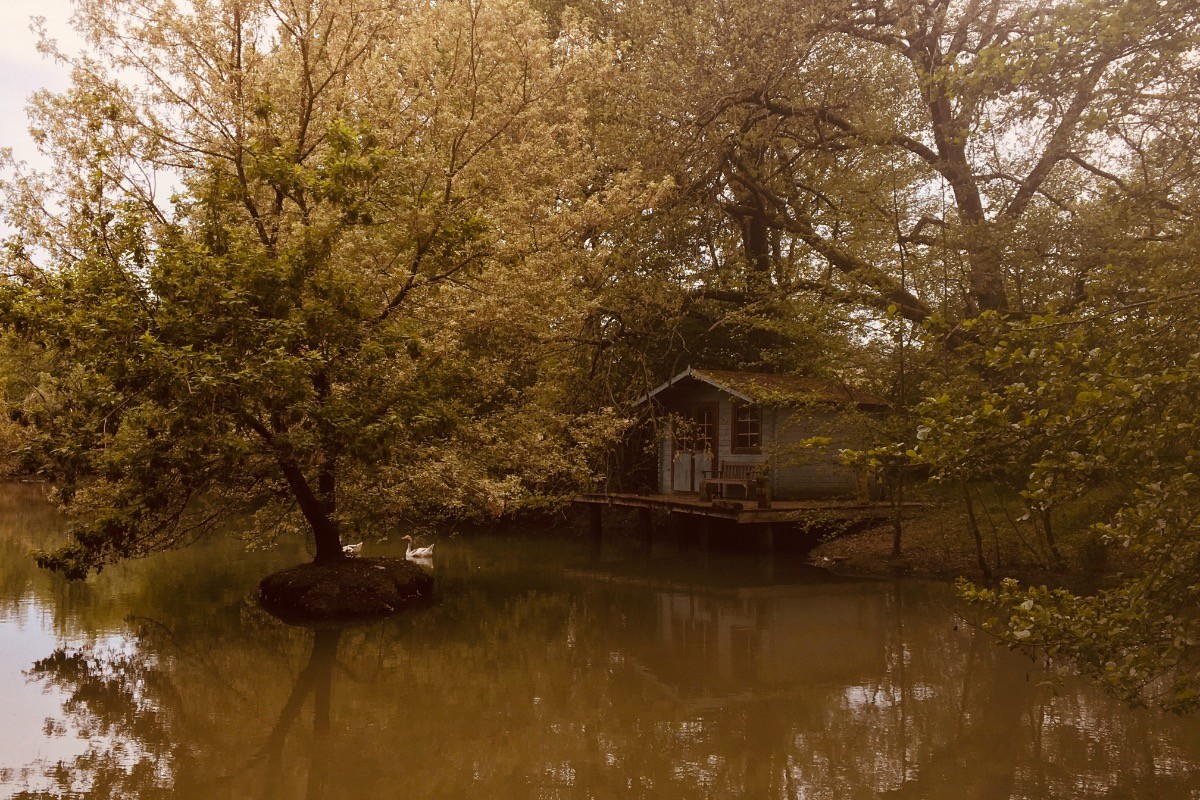 Photo n° 10 de la location