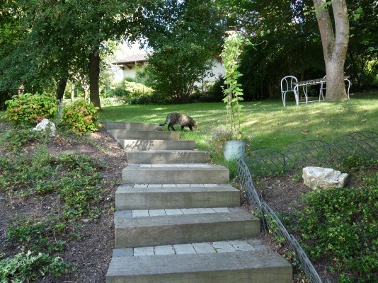 Jardin