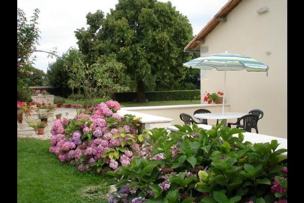 vue sur jardin et terrasse