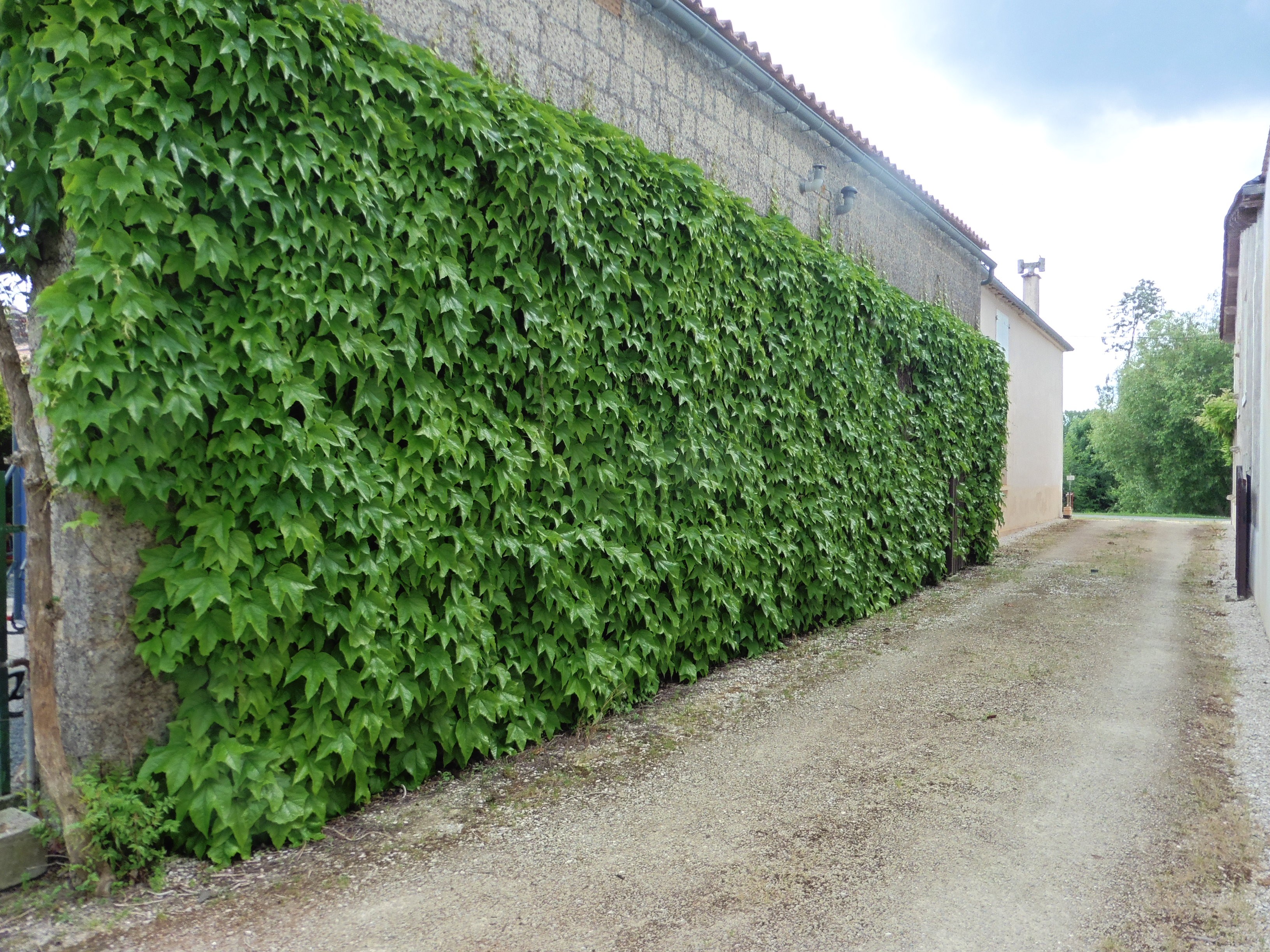 Passage pour voiture