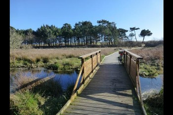 Photo n° 16 de la location