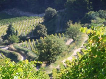 Photo n° 34 of the location