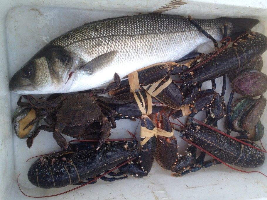 Une belle pêche ... !!!