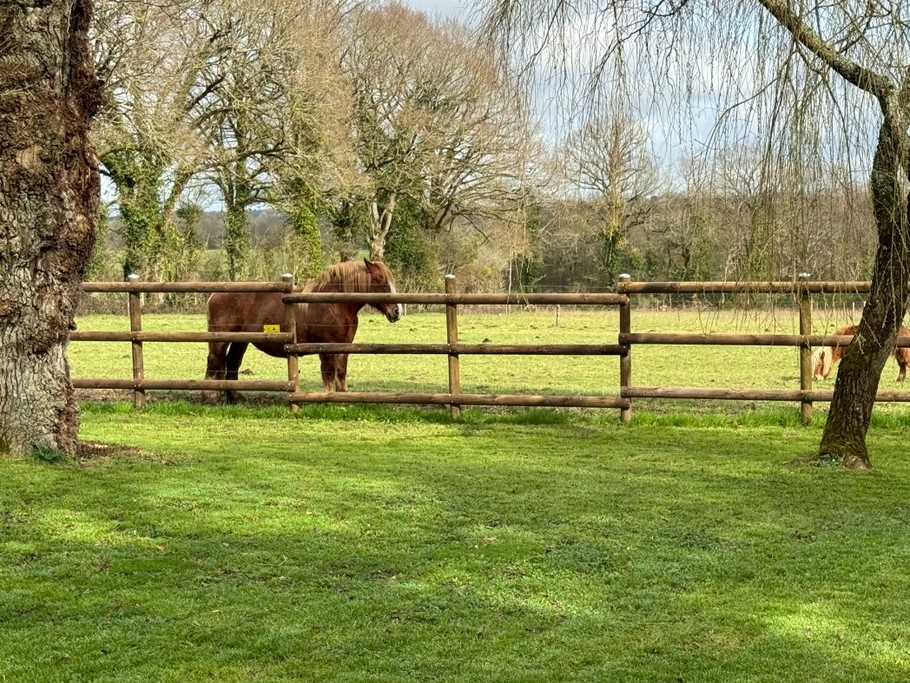 Photo n° 4 of the location