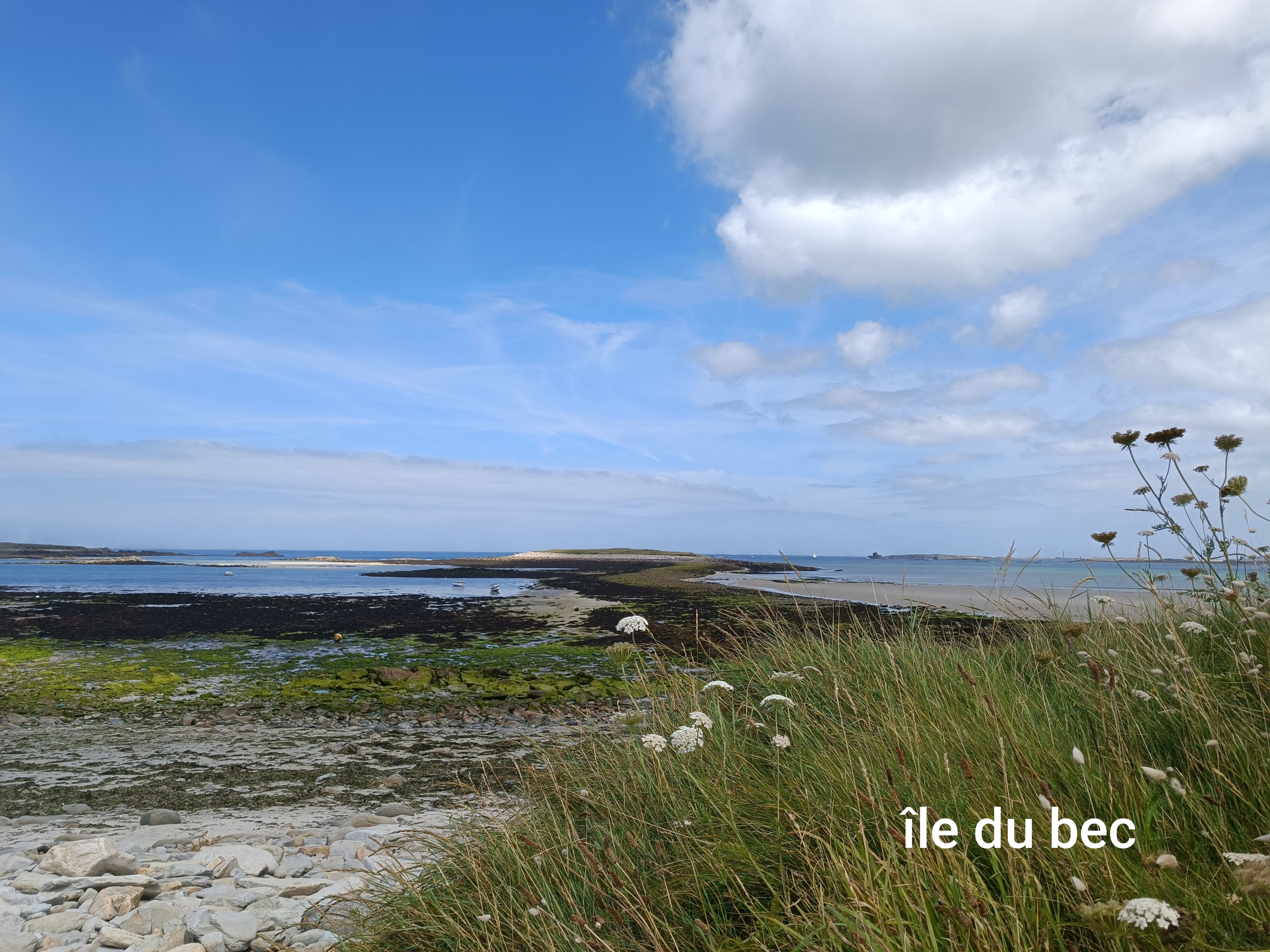 île du bec