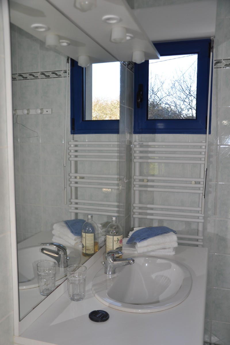 salle d'eau avec douche RDC