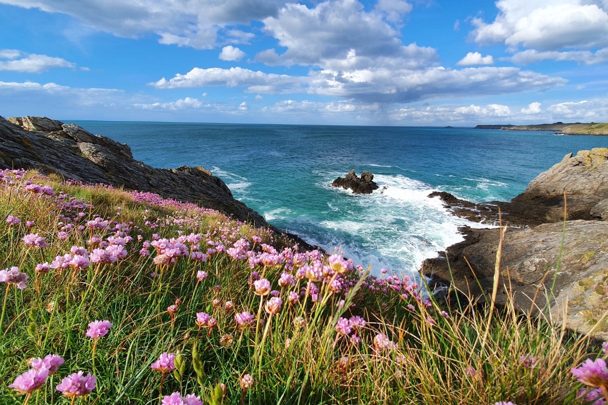 Vue depuis le GR34 à Cancale