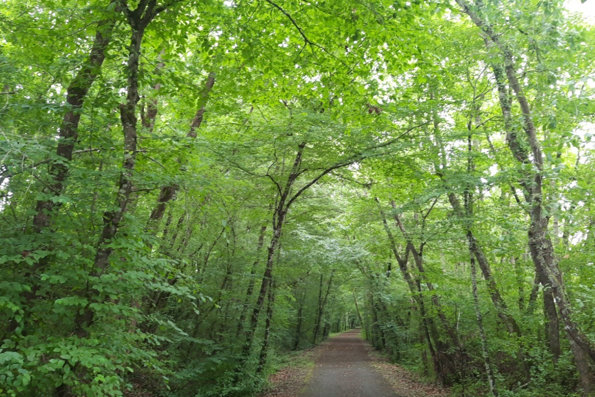 la voie verte à emprunter à vélo, à pieds, à cheval