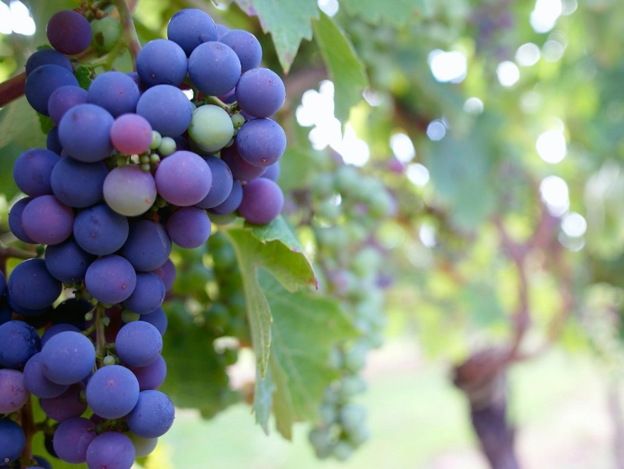 Photo n° 20 of the location