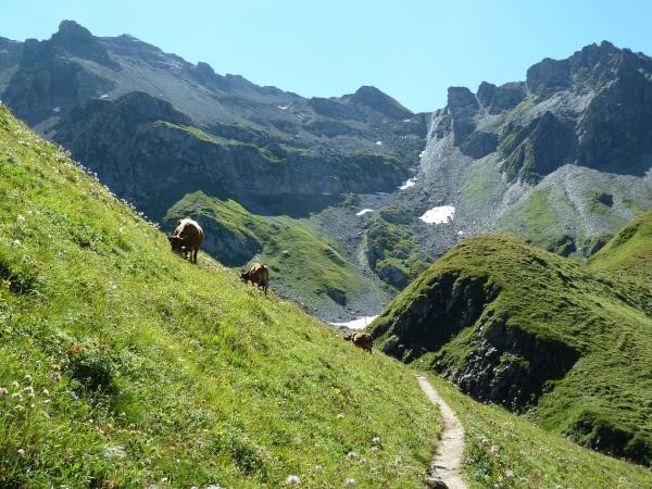Chemin partagé