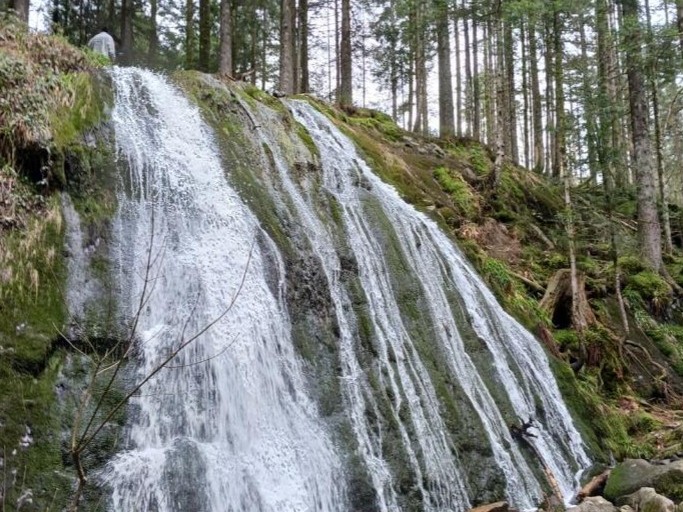 Cascade Vosges