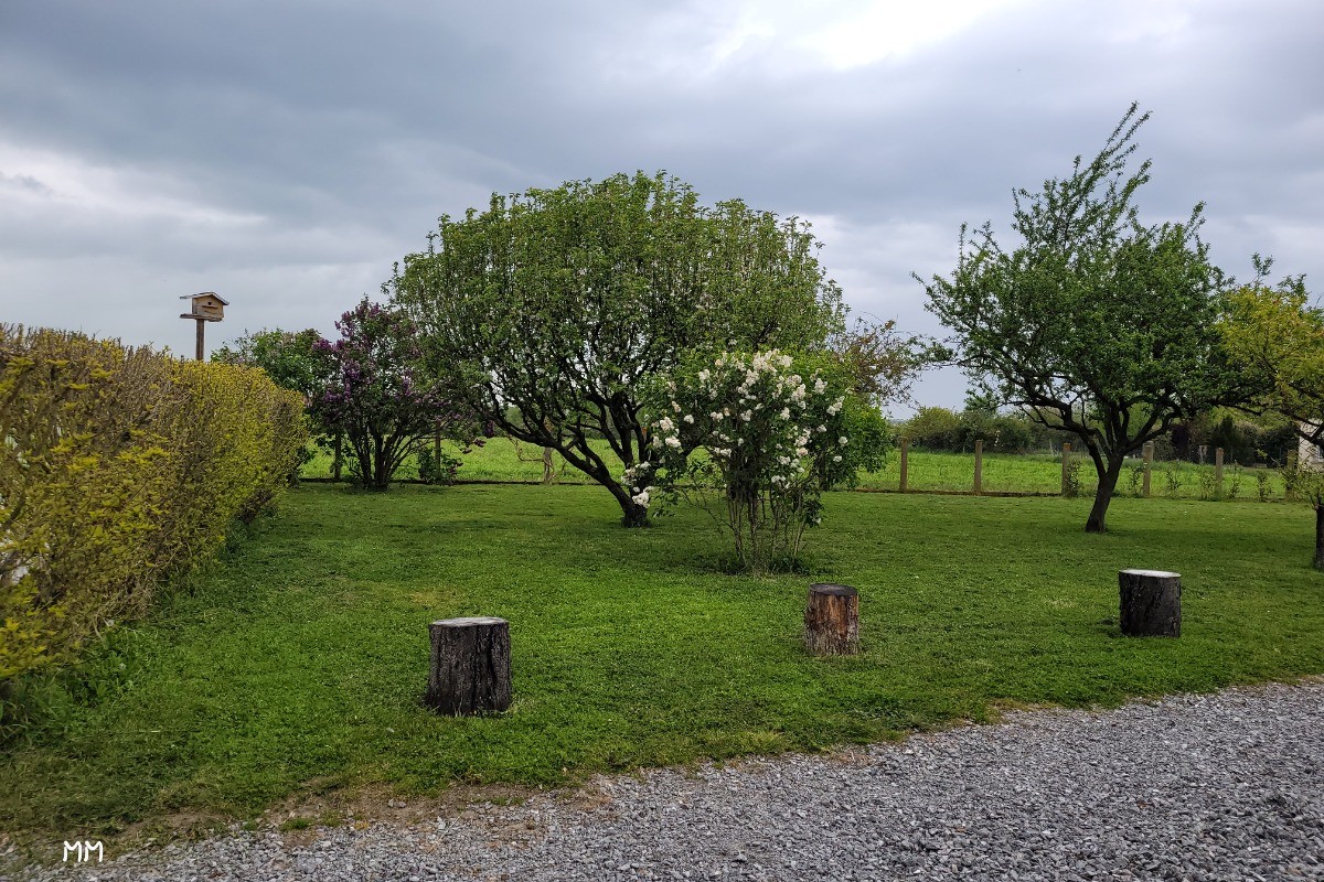Photo n° 6 de la location