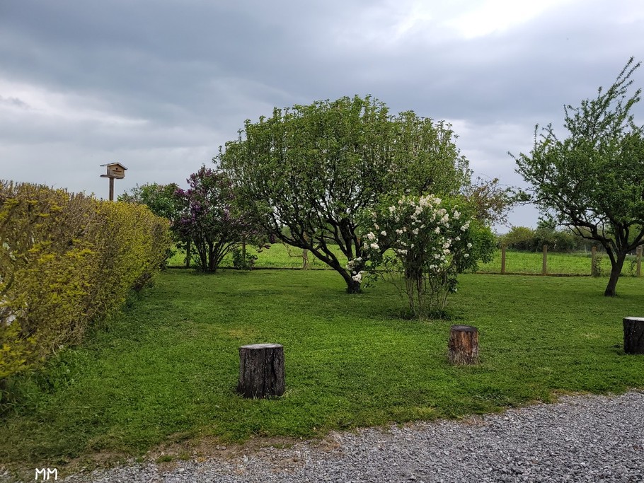 Photo n° 6 of the location