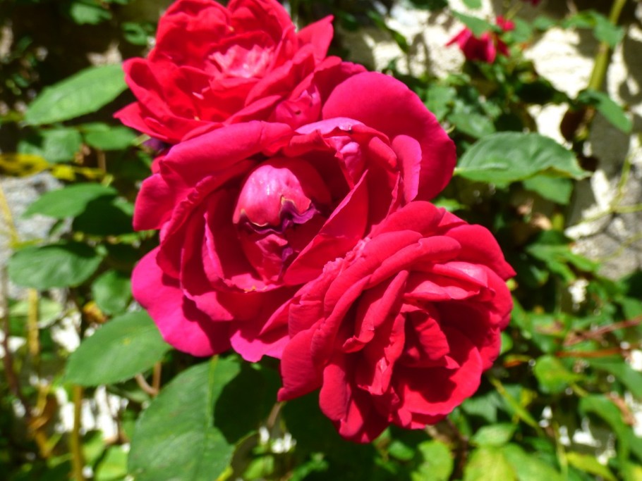 Photo n° 20 de la location