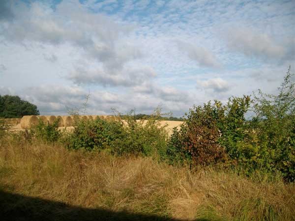 Photo n° 8 de la location