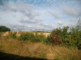 Image n° 2 de la location