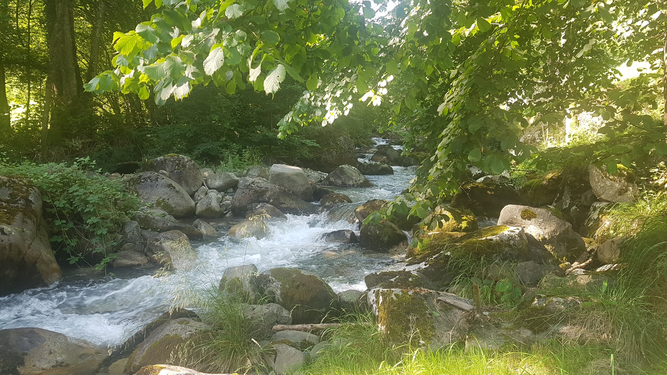 Photo n° 10 of the location