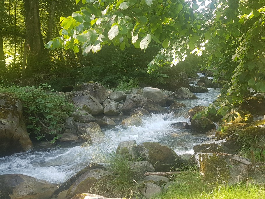 Photo n° 10 of the location