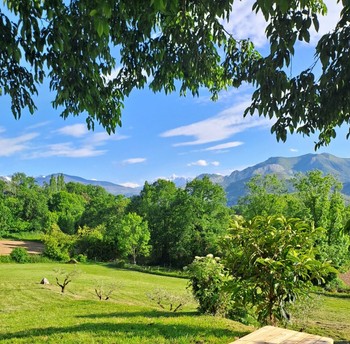 Table de pique-nique à disposition dans le parc
