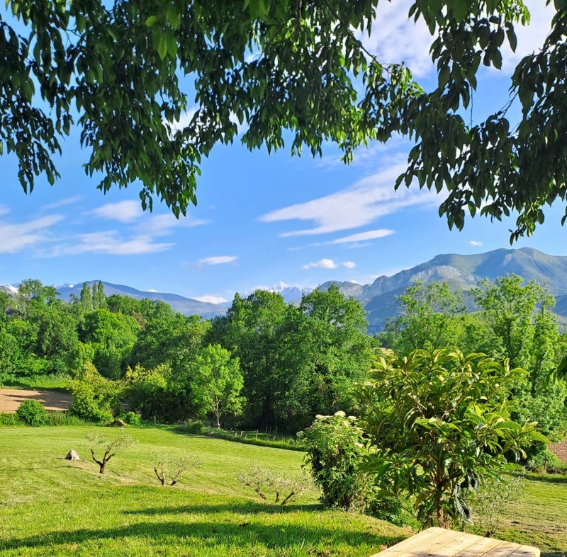 Table de pique-nique à disposition dans le parc