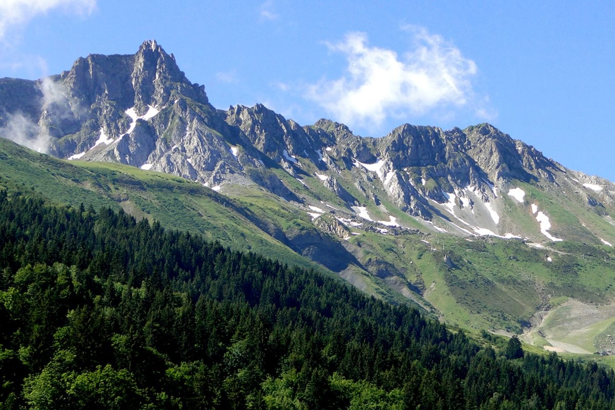 Le Nielard été