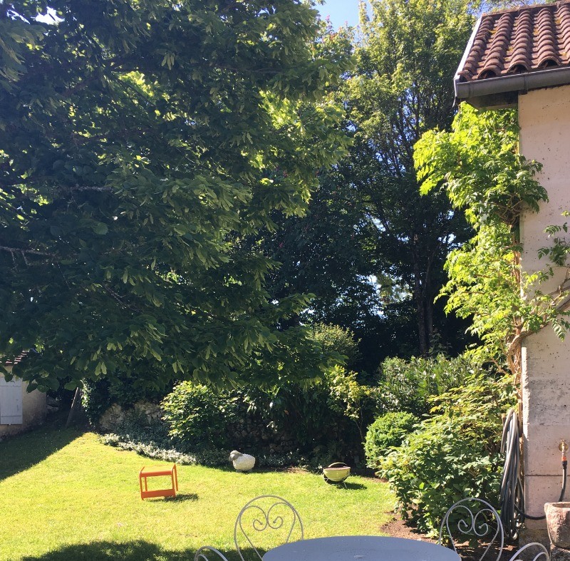 Déjeuner à l'ombre du tilleul